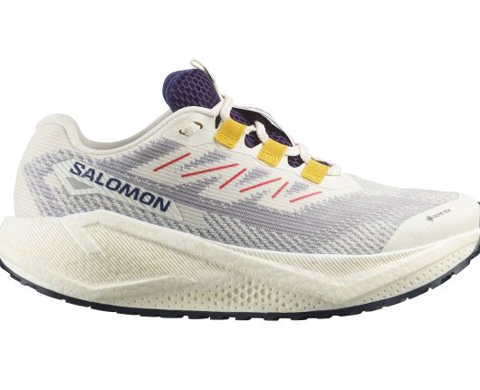 salomonaeroblaze3grvlgtxtest